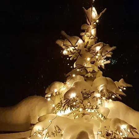 Апартаменты Haus Bergblick