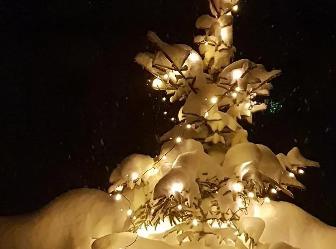 Apartment Haus Bergblick